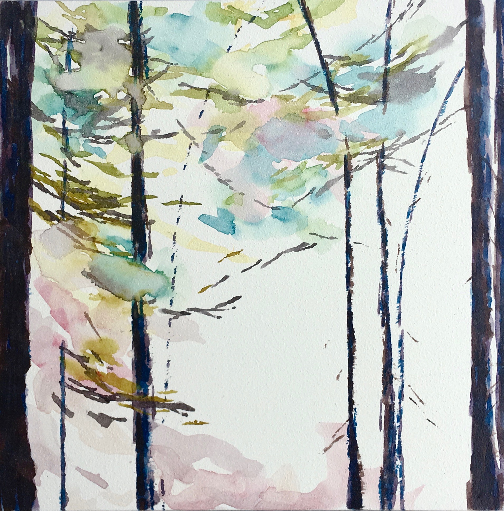 Wander IV