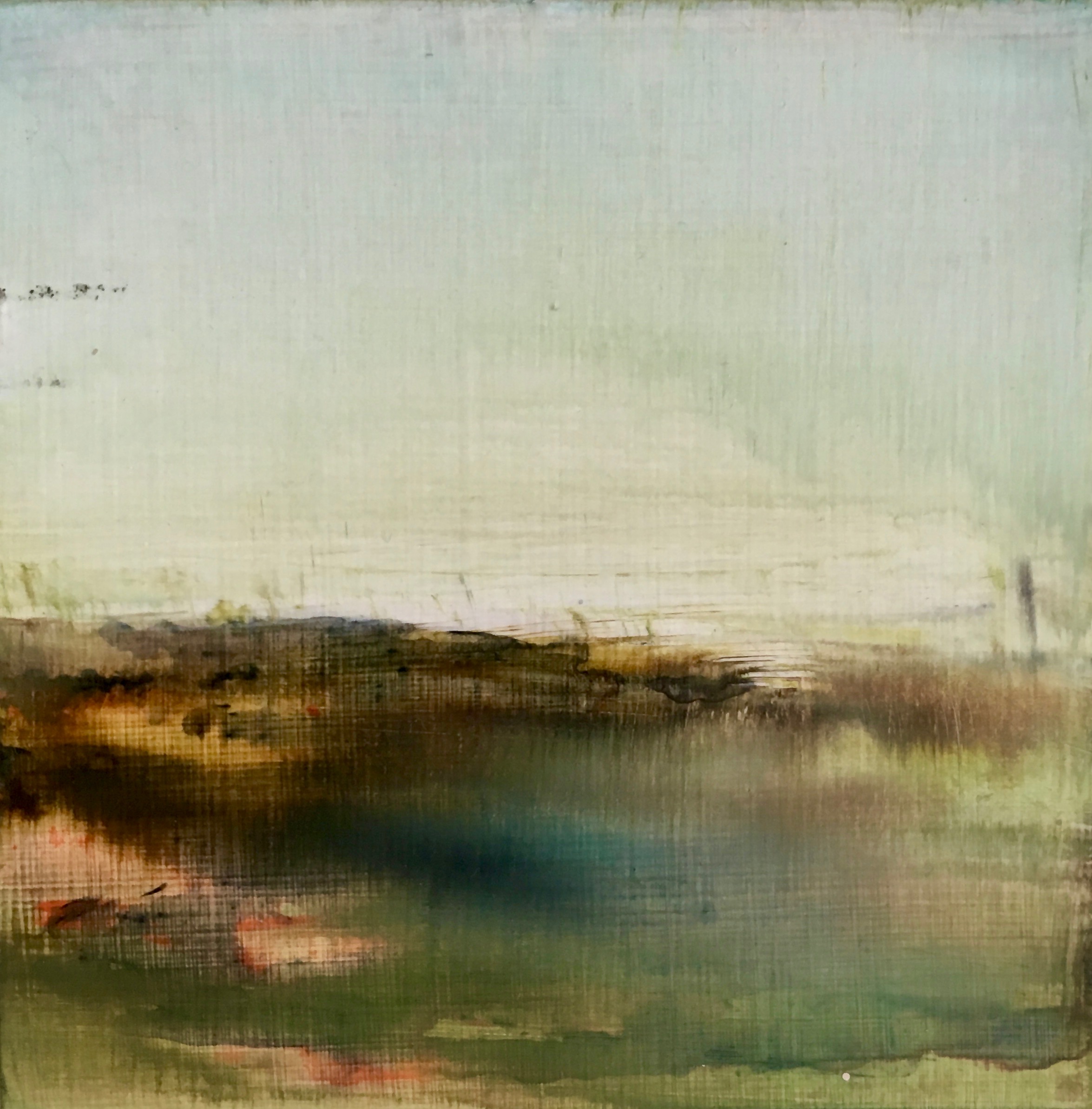Scintilla 29
