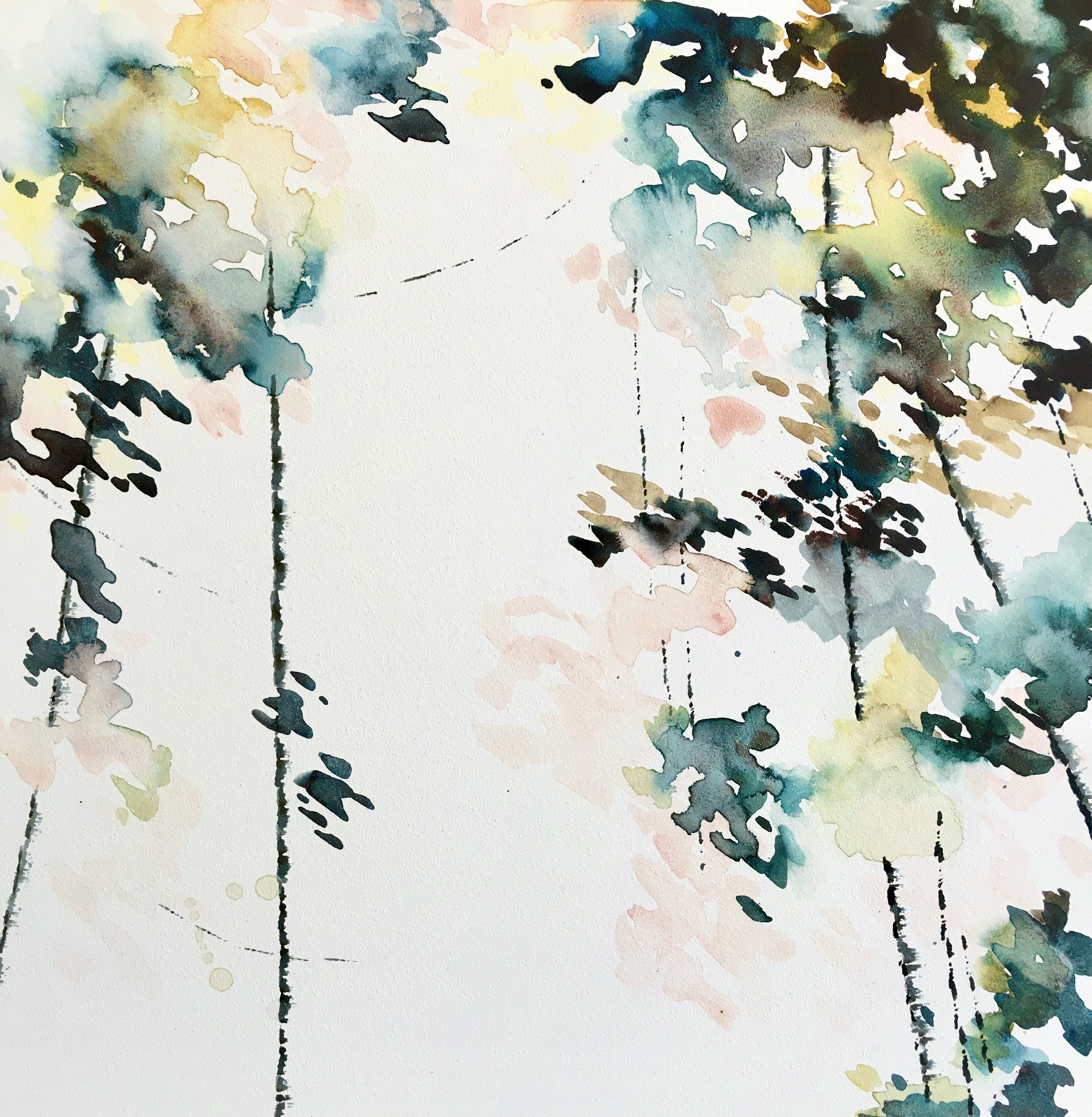 Roam III