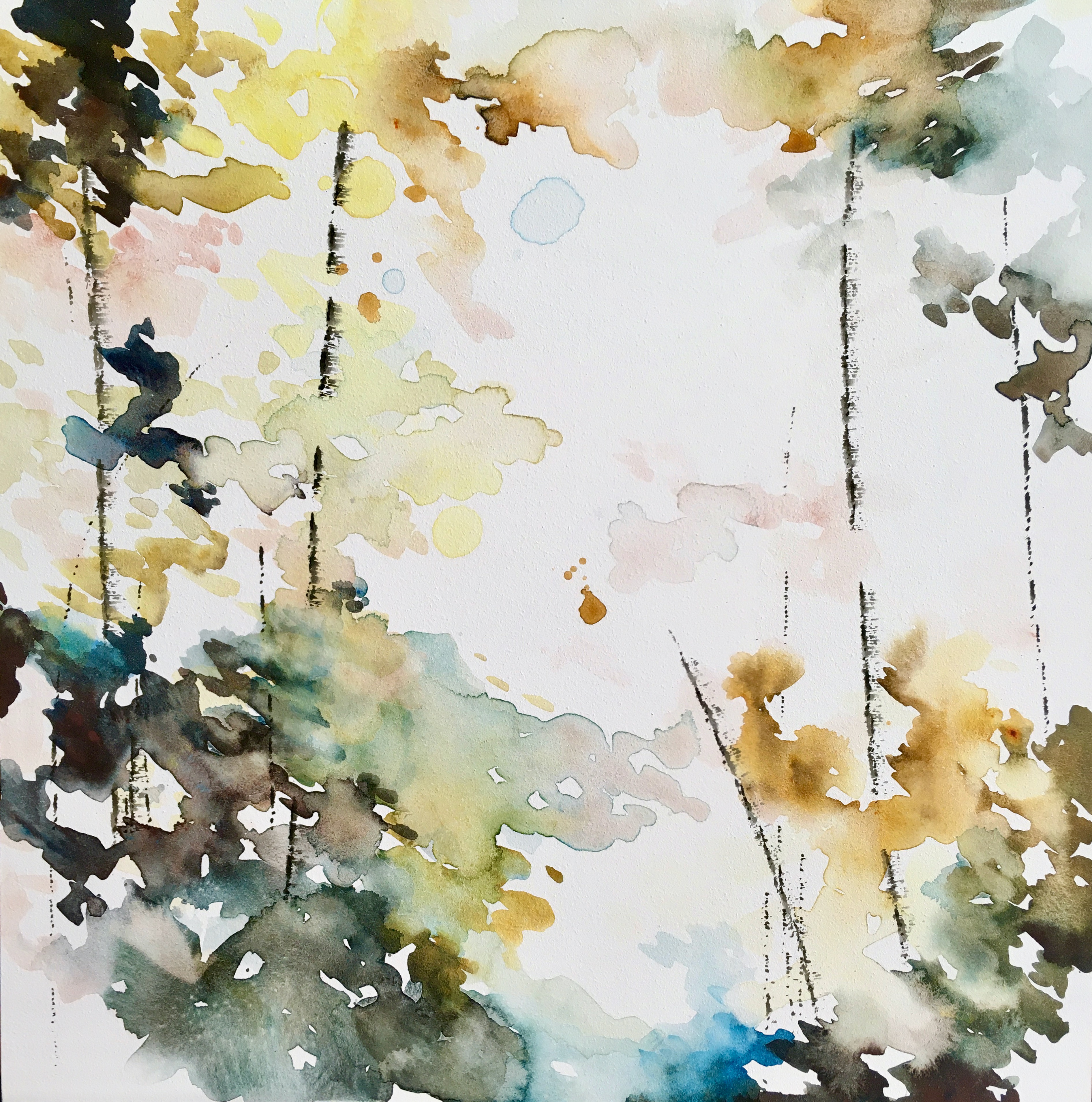 Roam II