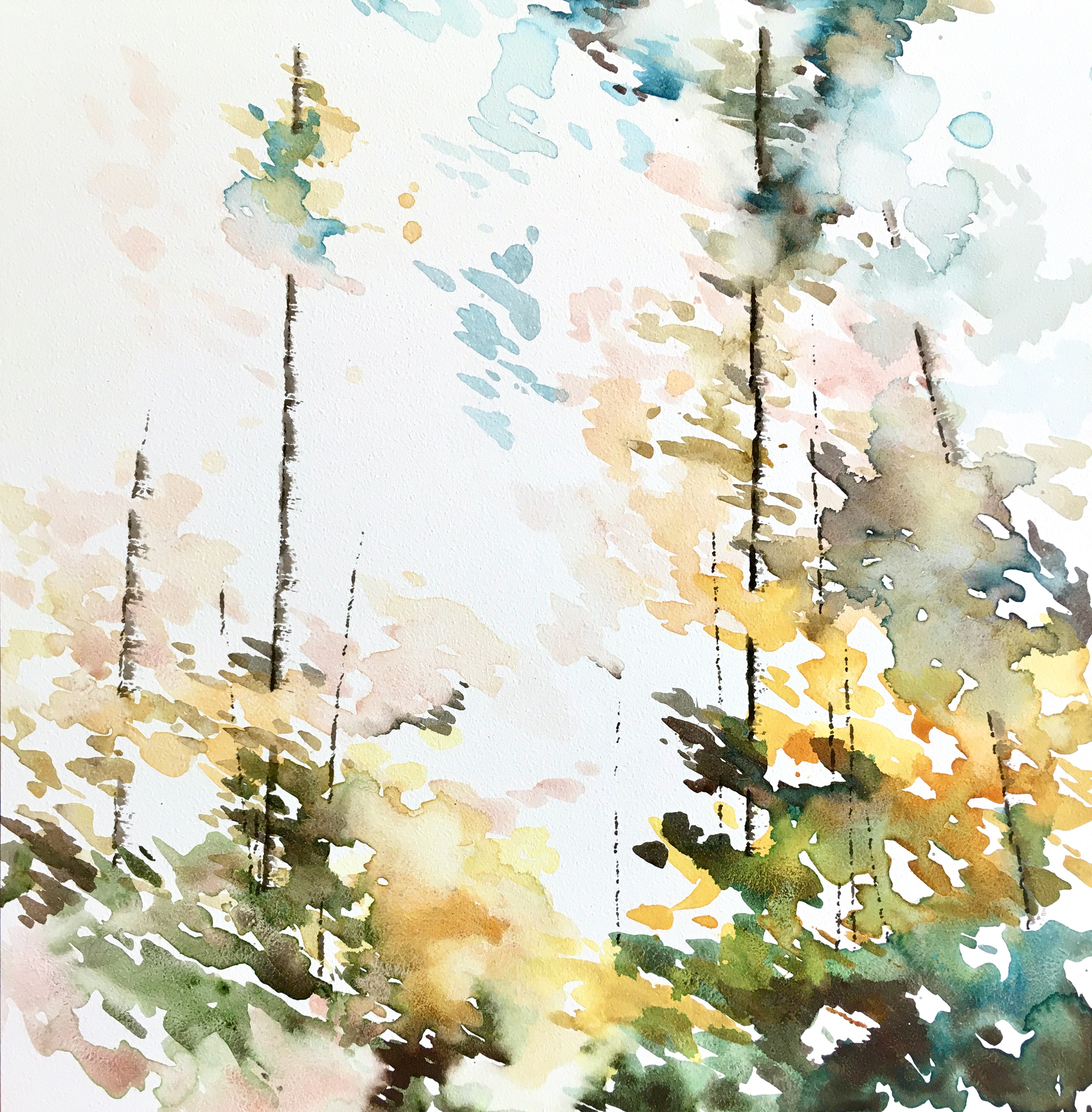 Roam IV