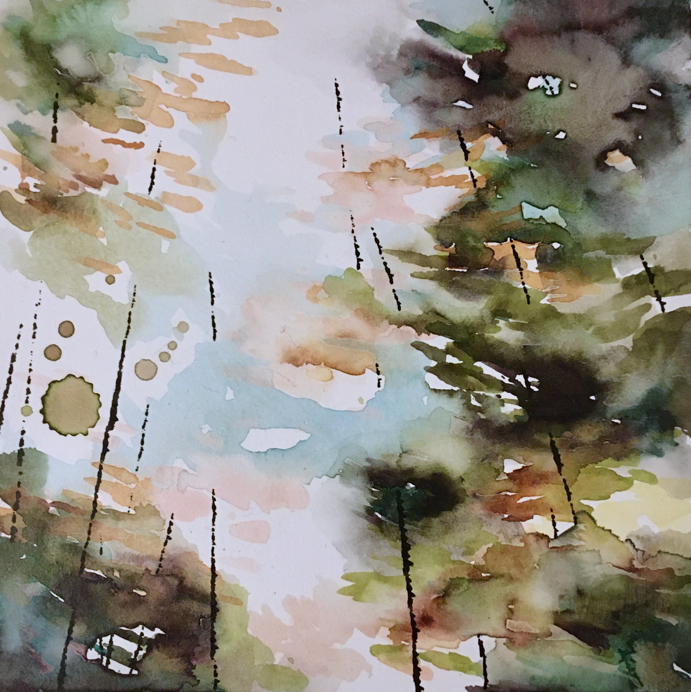 Wander VII