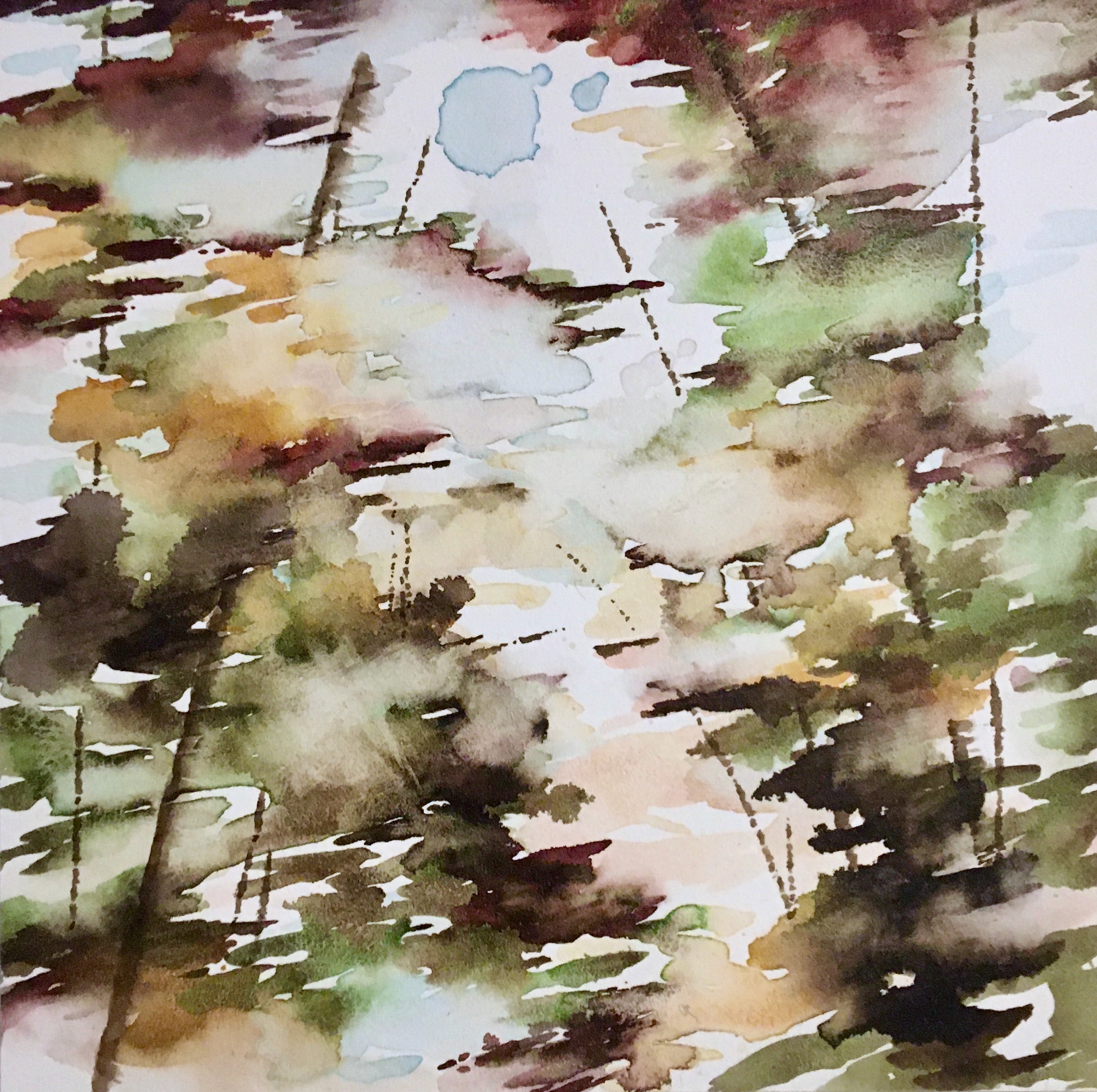Wander VI