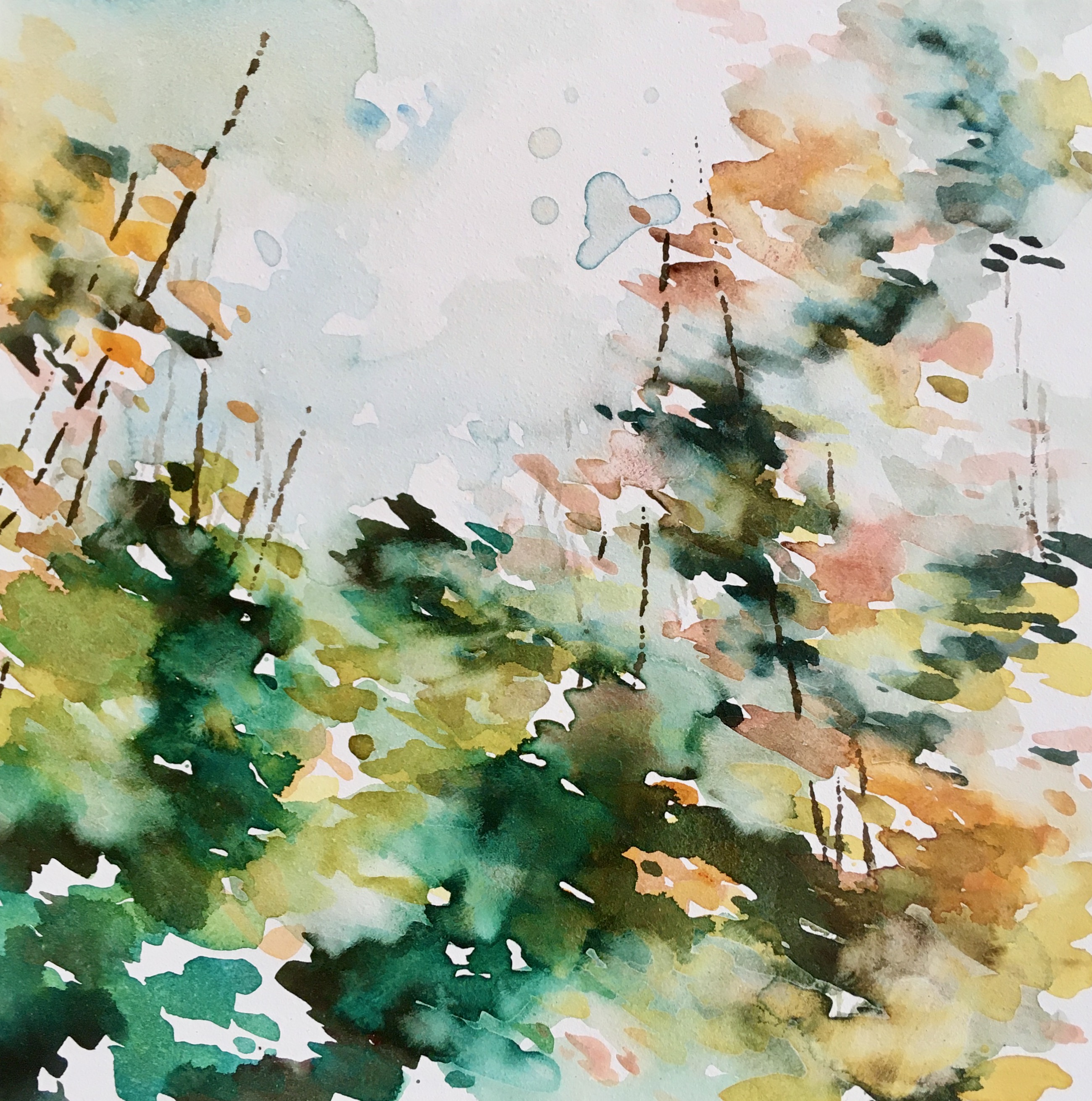 Wander V