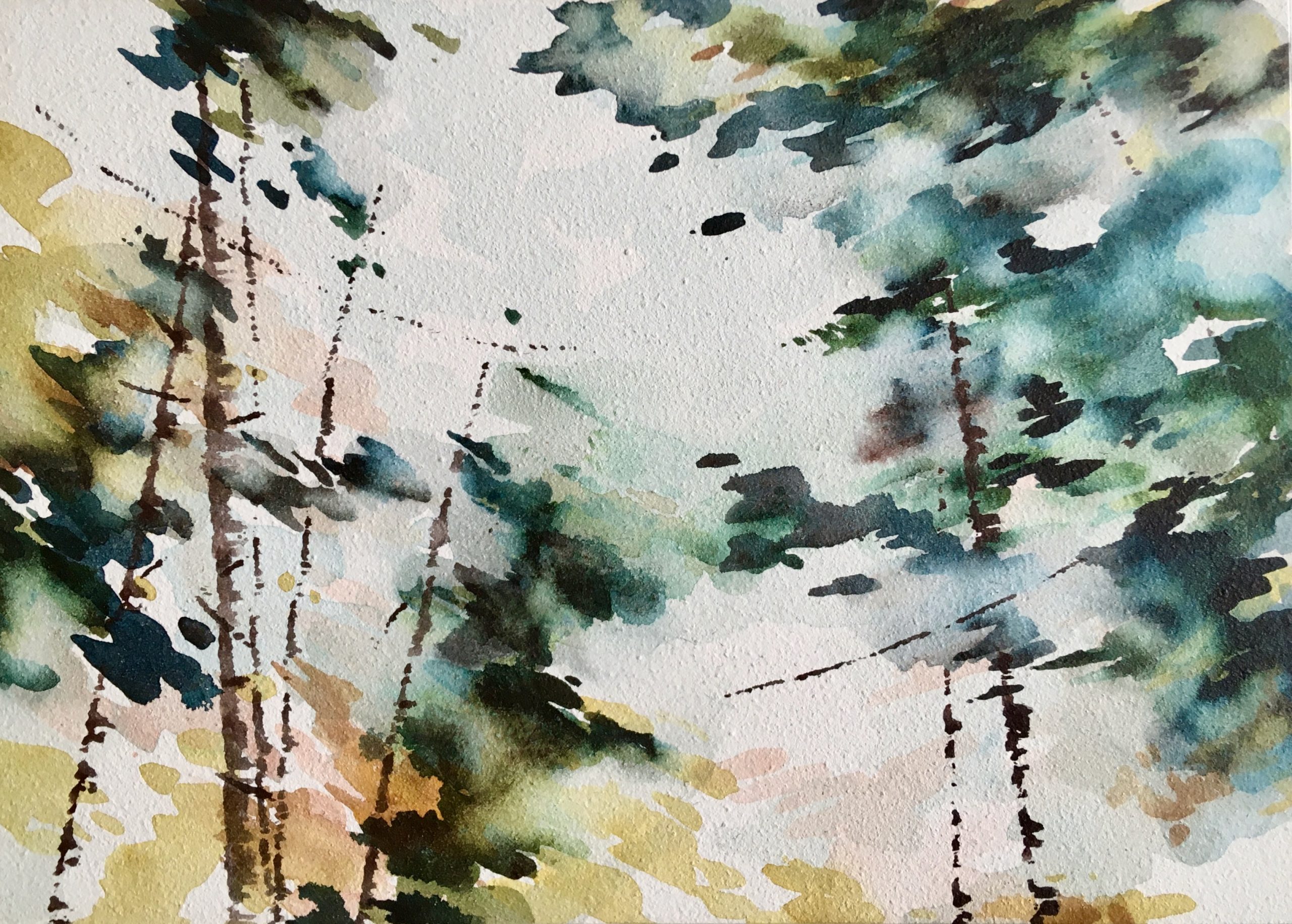Wander VIII